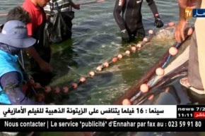 تصدير 17.25 طن من أسماك المياه العذبة من بشار إلى تونس