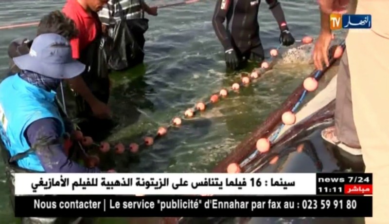 تصدير 17.25 طن من أسماك المياه العذبة من بشار إلى تونس