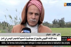 غليزان : إنتاج الحبوب ..توقعات بموسم إستثنائي بعد الأمطار المتساقطة هذا الموسم