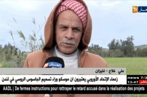 غليزان : إنتاج الحبوب ..توقعات بموسم إستثنائي بعد الأمطار المتساقطة هذا الموسم