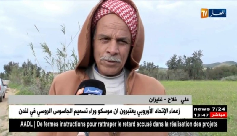 غليزان : إنتاج الحبوب ..توقعات بموسم إستثنائي بعد الأمطار المتساقطة هذا الموسم