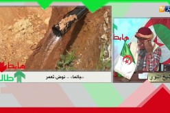 الشيخ النوي: سيال يستمعون لنداء النوي ويتدخلون.. راكم طالعين