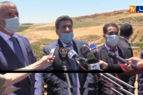 المدية: وزير الفلاحة يشرف على إعطاء إشارة إنطلاق حملة الحصاد والدرس