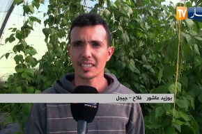 جيجل: من البستان إلى المستهلك ..عمي محمد وأبنائه يحطمون الأسعار