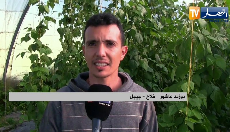 جيجل: من البستان إلى المستهلك ..عمي محمد وأبنائه يحطمون الأسعار