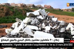 عين تموشنت/ كميات معتبرة من السمك ترمى..مجهولون في قفص الإتهام