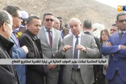 الولاية المنتدبة لجانت: وزير الموارد المائية في زيارة تفقدية لمشاريع القطاع