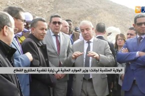 الولاية المنتدبة لجانت: وزير الموارد المائية في زيارة تفقدية لمشاريع القطاع