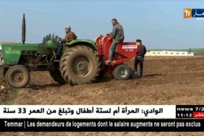 غليزان: إنتاج البطاطا..إستثمار كبير يواجه العديد من المشاكل