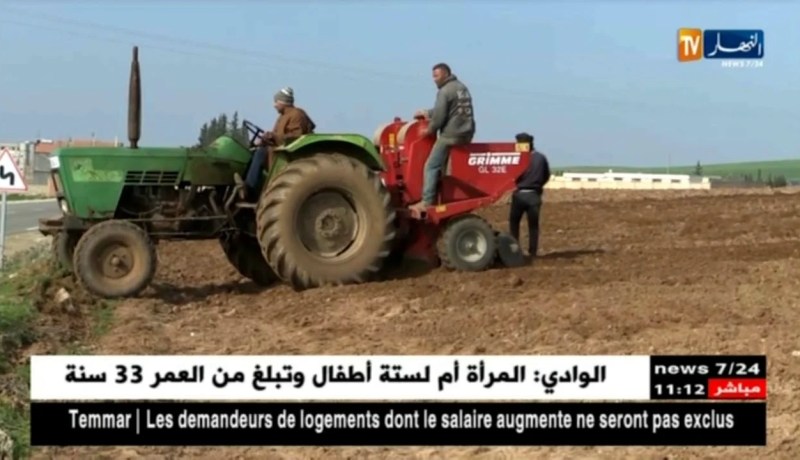 غليزان: إنتاج البطاطا..إستثمار كبير يواجه العديد من المشاكل