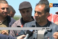 فلاحة: المزارع النموذجية.. عندما تمنح الأراضي الفلاحية لغير مستحقيها