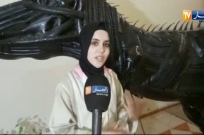 سيدي بلعباس: متخرجة من “معهد الفنون التشكيلية” حولت عجلات السيارات إلى ديناسور