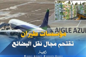 مؤسسات طيران أجنبية تستغل النقص وتقتحم مجال نقل بضائع مصدرين