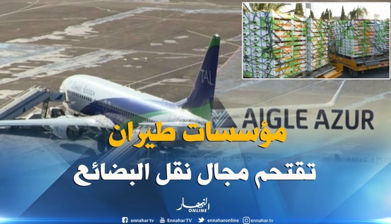 مؤسسات طيران أجنبية تستغل النقص وتقتحم مجال نقل بضائع مصدرين