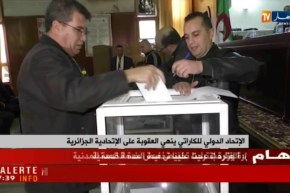 الإتحاد الدولي للكاراتي ينهي العقوبة على الإتحادية الجزائرية