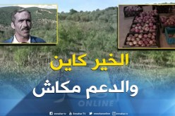 قالمة : إنتاج وفير لفاكهة الرمان وغياب الدعم يؤرق فلاحي شعبة بالدهوارة