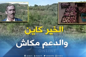 قالمة : إنتاج وفير لفاكهة الرمان وغياب الدعم يؤرق فلاحي شعبة بالدهوارة