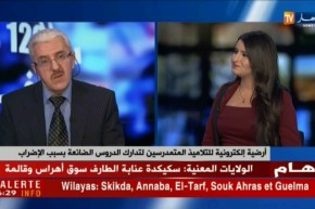 أرضية إلكترونية لتلاميذ المتمدرسين لتدارك الدروس الضائعة بسبب الإضراب