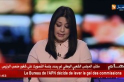مكتب المجلس الشعبي الوطني يقرر رفع التجميد عن لجان المجلس