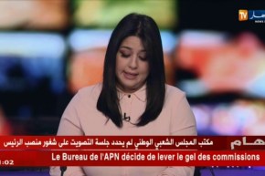 مكتب المجلس الشعبي الوطني يقرر رفع التجميد عن لجان المجلس