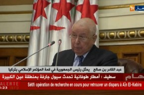 عبد القادر بن صالح يمثل رئيس الجمهورية في قمة المؤتمر الإسلامي بتركيا