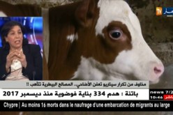 حقيقة إنتشار الحمى القلاعية..أخر المستجدات !!