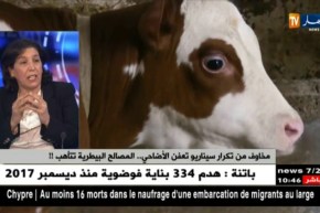 حقيقة إنتشار الحمى القلاعية..أخر المستجدات !!