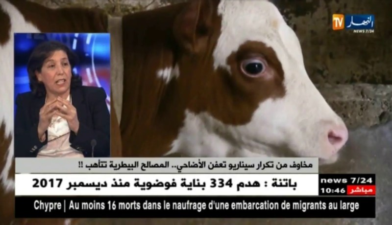 حقيقة إنتشار الحمى القلاعية..أخر المستجدات !!