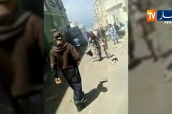مستغانم: حافلة نقل شبه الحضري تفقد المكابح وتتسبب في حادث مريع