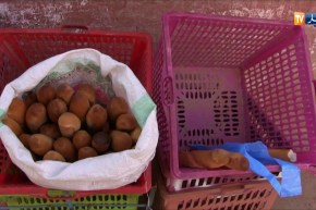 أدرار: أزمة خبز في أولى أيام شهر رمضان وسعر الخبزة الواحدة ب 15 دج