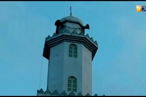 نقل مباشر للصلاة وخطبتي عيد الأضحى من مسجد أبي بكر الصديق ببجاية