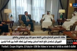 طاقة: التحضير لإجتماع منتجي النفط محور لقاء بين قيطوني والفالح