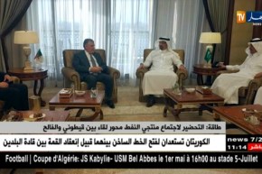 طاقة: التحضير لإجتماع منتجي النفط محور لقاء بين قيطوني والفالح