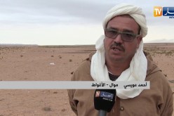 الأغواط: نفوق عدد من المواشي رغم تأكيد مديرية الفلاحة من القضاء على الطاعون