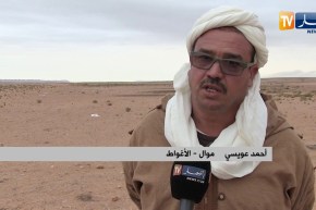 الأغواط: نفوق عدد من المواشي رغم تأكيد مديرية الفلاحة من القضاء على الطاعون