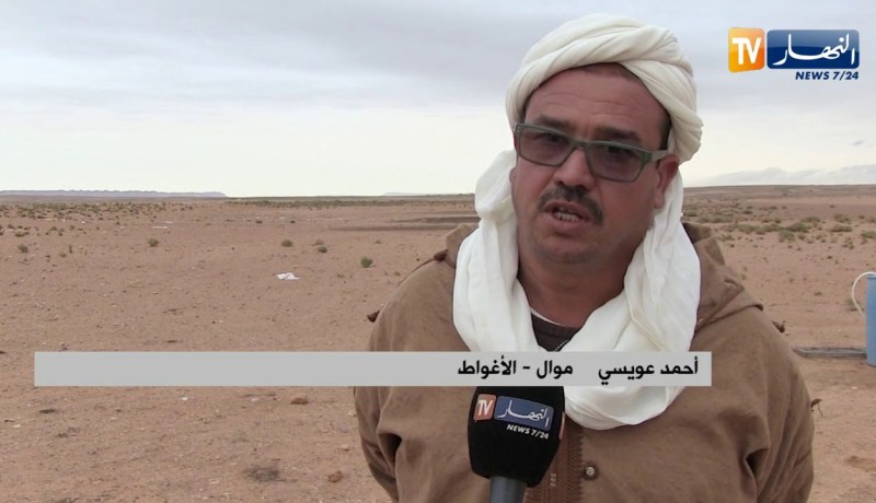 الأغواط: نفوق عدد من المواشي رغم تأكيد مديرية الفلاحة من القضاء على الطاعون