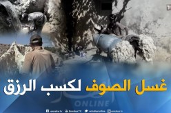بالفيديو ..شباب يغسلون الصوف لكسب رزقهم بغيليزان