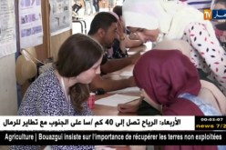 تعليم عالي: هذه هي معايير قبول رغبات الطلبة وتوجيههم للتخصصات المطلوبة