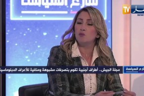منار فتني : رسالة الجيش طمئنة للشعب ورسالة للخارج أن المؤسسة العسكرية قائمة على حماية إستقلال البلد