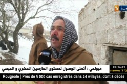 المدية/ الثلوج والجليد يهددان الأشجار المثمرة