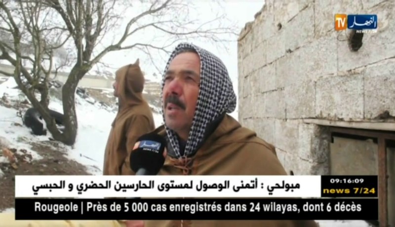 المدية/ الثلوج والجليد يهددان الأشجار المثمرة