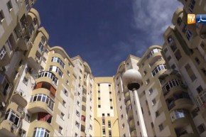 مجتمع: مطلقة تثأر من زوجها بسرقة 700 مليون سنتيم من حماتها