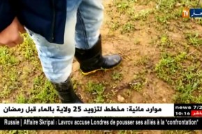 سكيكدة: الإعتداء على الغطاء النباتي في وضح النهار والكل يتفرج