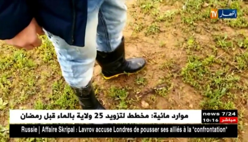 سكيكدة: الإعتداء على الغطاء النباتي في وضح النهار والكل يتفرج