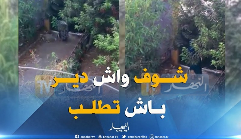 شاهد..إمرأة تغير ملابسها في الشارع لتتحول إلى متسولة