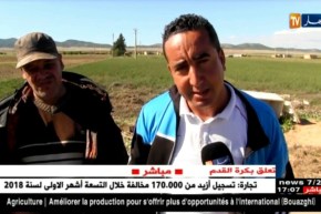 أم البواقي: أضرار جسيمة بآبار الفلاحين جراء الأمطار الرعدية بمشتة رأس الزبار