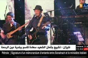 الفن والأمازيغية..نضال الكلمة !