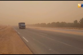 الزوابع الرملية تعيق حركة سير المركبات بالنعامة