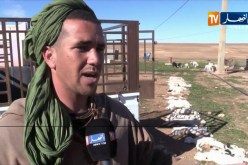 البيض: حرق مئات الخرفان يوميا بسبب الحمى القلاعية