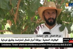 تمنراست: سواعد فلاح مثابر يحول أرضا قاحلة لأخرى معطاء..